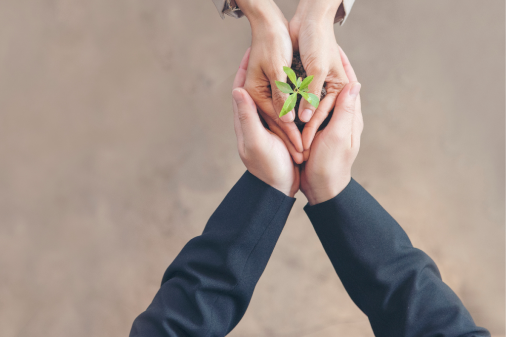 Child Trust Fund: Cash waiting?